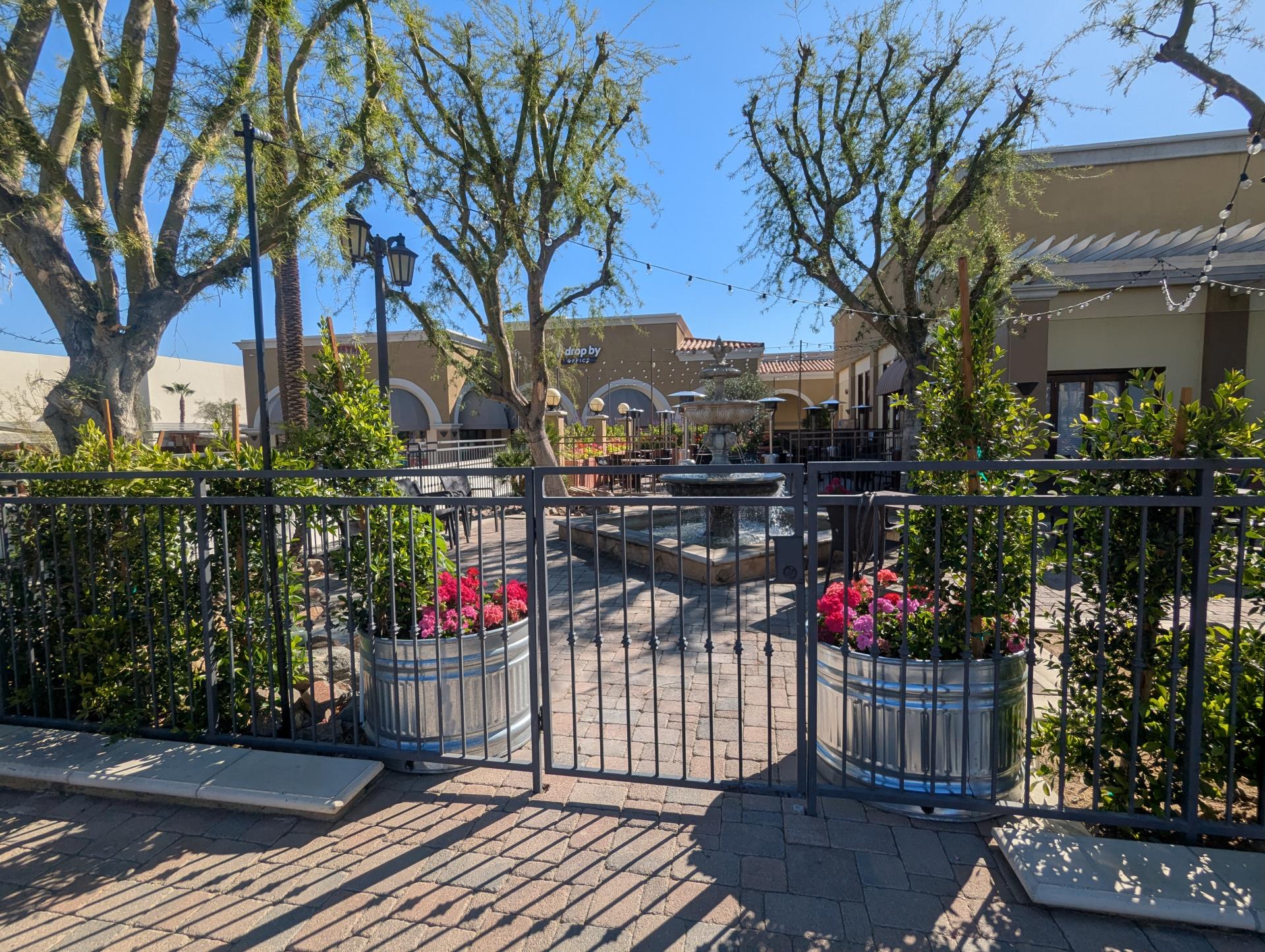 PXL_20250315_171942885