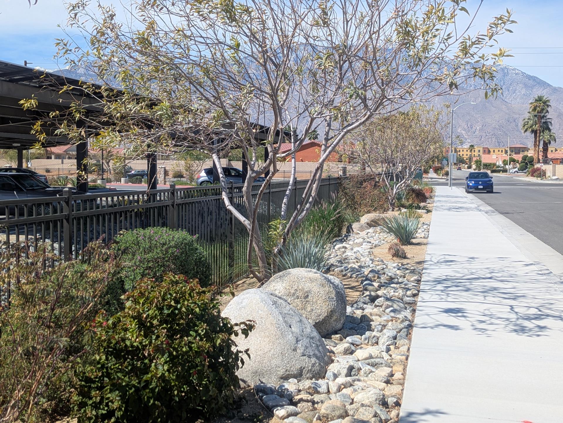 PXL_20250315_183641224